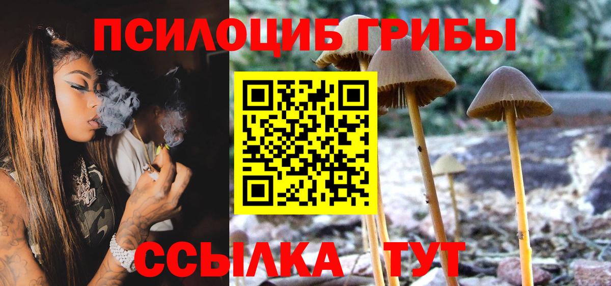 Галлюциногенные грибы Cubensis Протвино