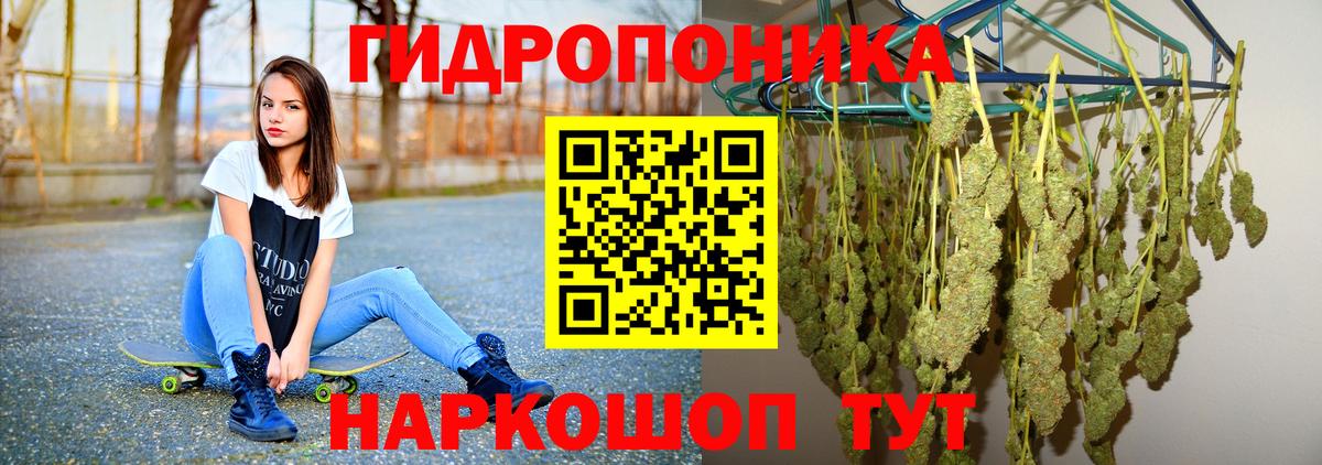 Протвино  Каннабис семена  Вход с VPN  Бошки Шишки Amnesia 
